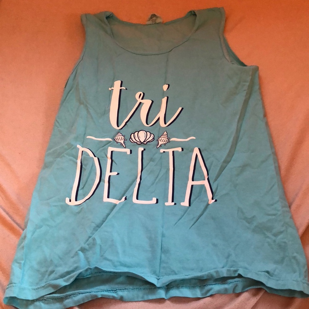Comfort colors tri delta bid day tee